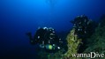 scuba diving photo