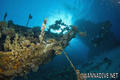 scuba diving photo