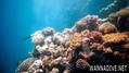 scuba diving photo