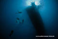 scuba diving photo