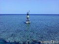 scuba diving photo