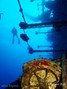 scuba diving photo