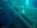 scuba diving photo