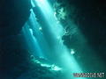 scuba diving photo