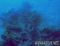 scuba diving photo