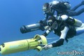 scuba diving photo