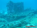 scuba diving photo