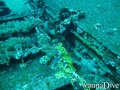 scuba diving photo