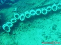 scuba diving photo