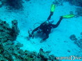 scuba diving photo