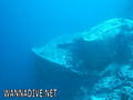 scuba diving photo
