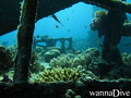 scuba diving photo