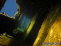 scuba diving photo