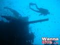 scuba diving photo