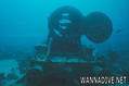 scuba diving photo