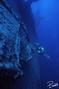scuba diving photo