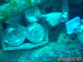 scuba diving photo