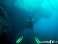 scuba diving photo