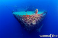 scuba diving photo