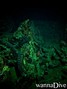 scuba diving photo