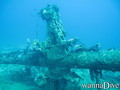 scuba diving photo