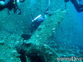 scuba diving photo