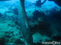 scuba diving photo