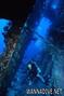 scuba diving photo