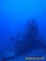 scuba diving photo