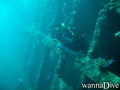 scuba diving photo