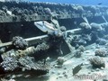 scuba diving photo