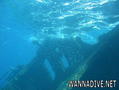 scuba diving photo