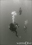 scuba diving photo