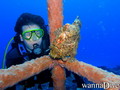 scuba diving photo