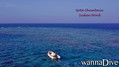 scuba diving photo