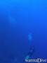scuba diving photo