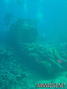 scuba diving photo