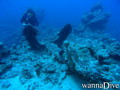scuba diving photo