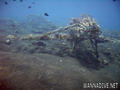 scuba diving photo