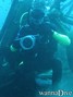 scuba diving photo