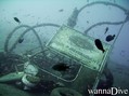 scuba diving photo
