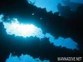 scuba diving photo