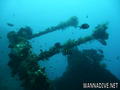 scuba diving photo