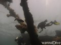 scuba diving photo