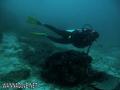 scuba diving photo