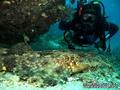 scuba diving photo