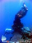 scuba diving photo