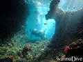 scuba diving photo