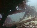 scuba diving photo