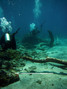 scuba diving photo